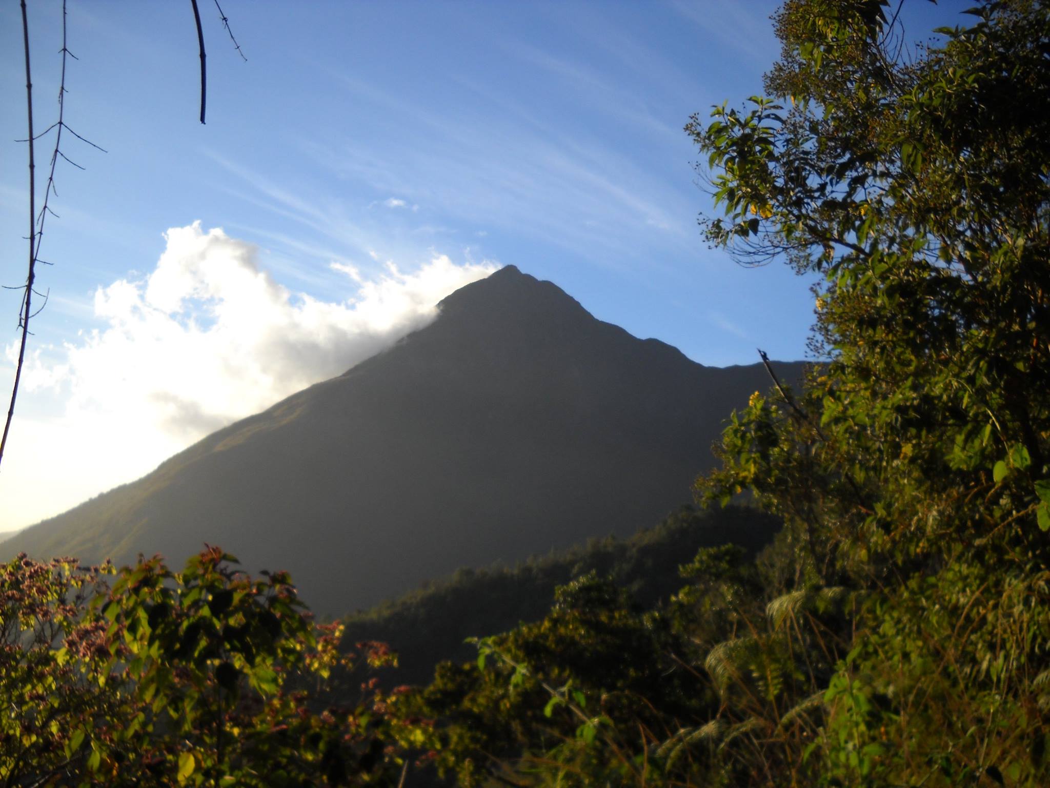 El Avila