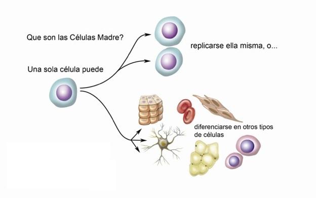 Como la ciencia hace retroceder el reloj biológico