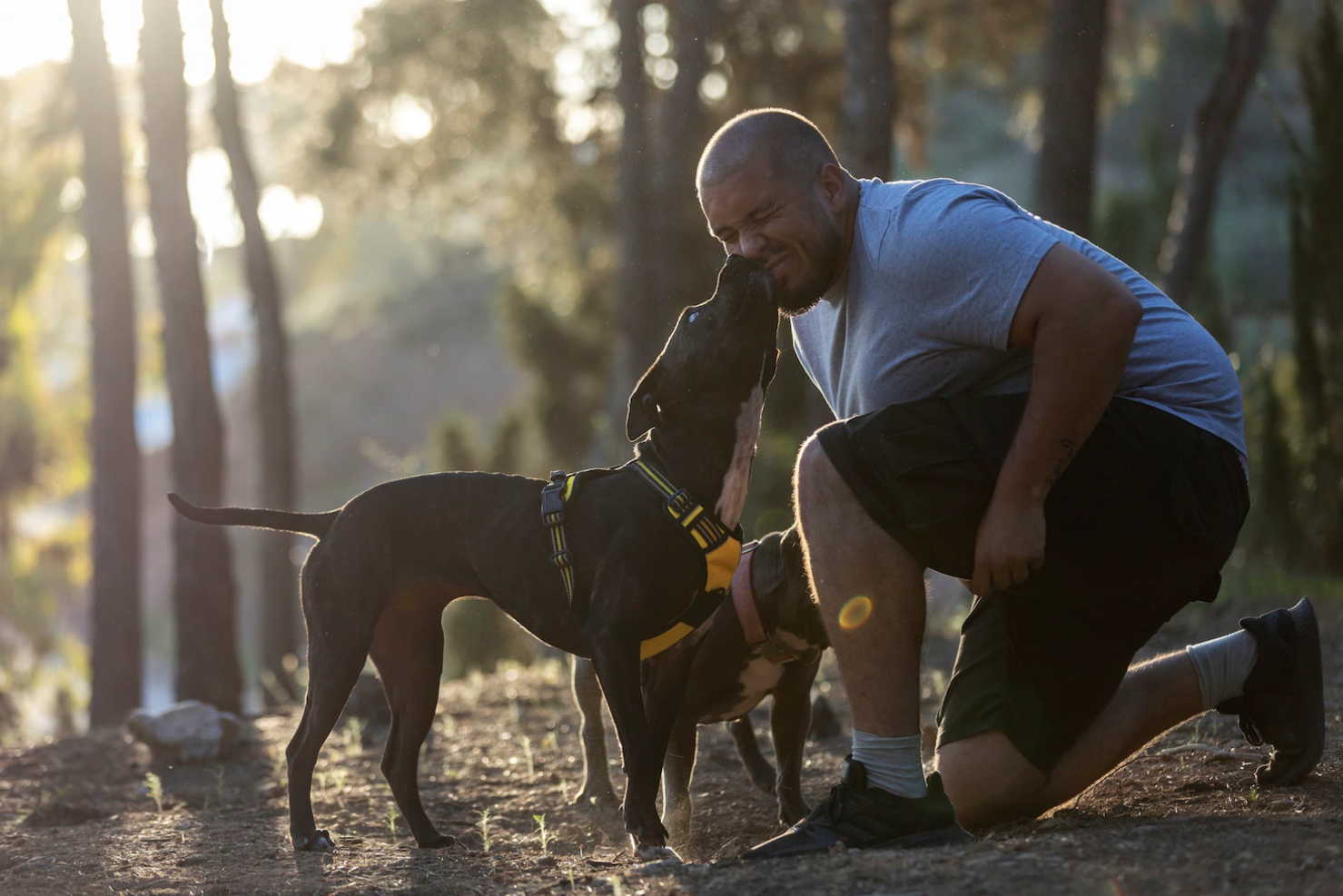 EL PERRO, ¿el mejor amigo del hombre? ¿Realidad o ficción?