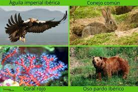 tipos de biodiversidad España