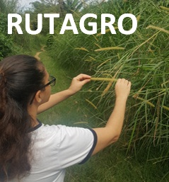 RUTAGRO Digitalización del Entorno Rural