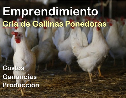 EMPRENDIMIENTOS PRODUCTIVOS