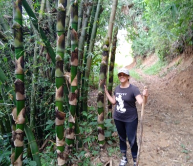 Ruta Agroecoturistica de Canoabo