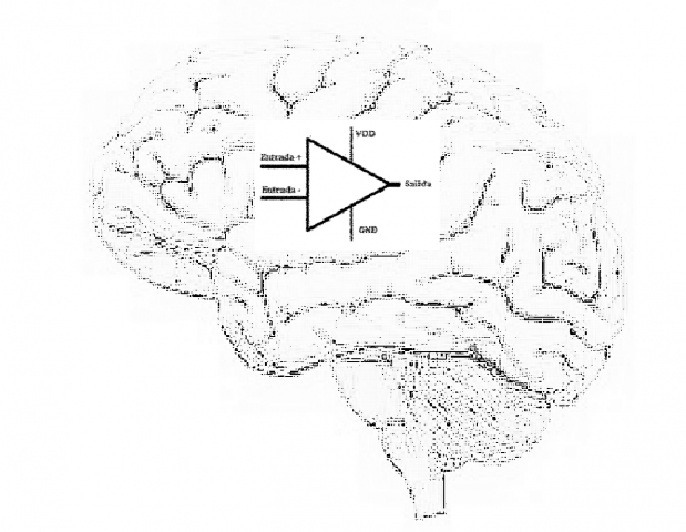 Semejanza Entre El Comportamiento Humano Y El Amplificador Operacional