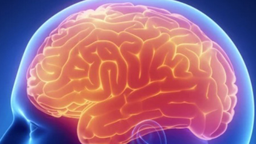 La memorización ¿una herramienta útil para ejercitar nuestro cerebro?