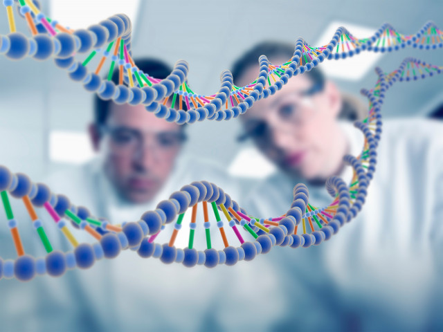 Finalmente se conoce el genoma humano completo