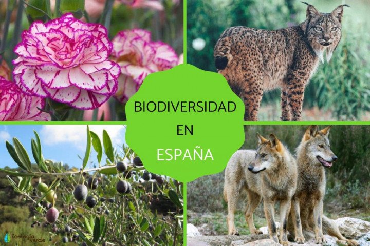 Biodiversidad de España