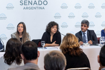 Senado: Presentaron un proyecto para convertir en ley al Programa Reme