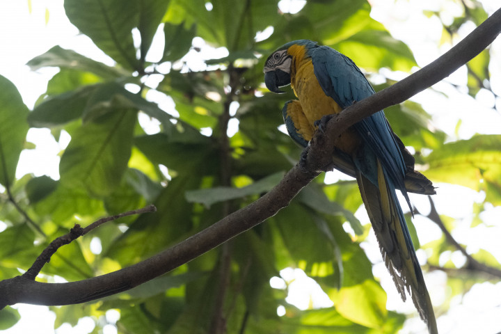 Colombia, es un país con la mayor biodiversidad