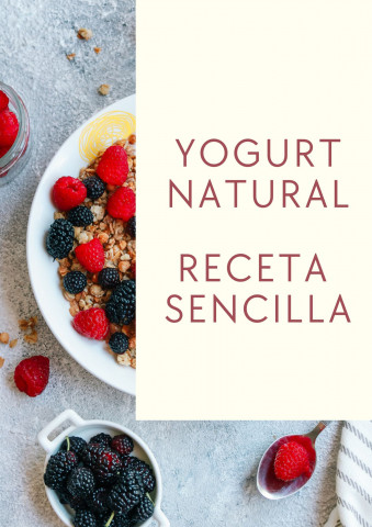 Como hacer yogurt natural receta fácil y sencilla, con ingredientes q