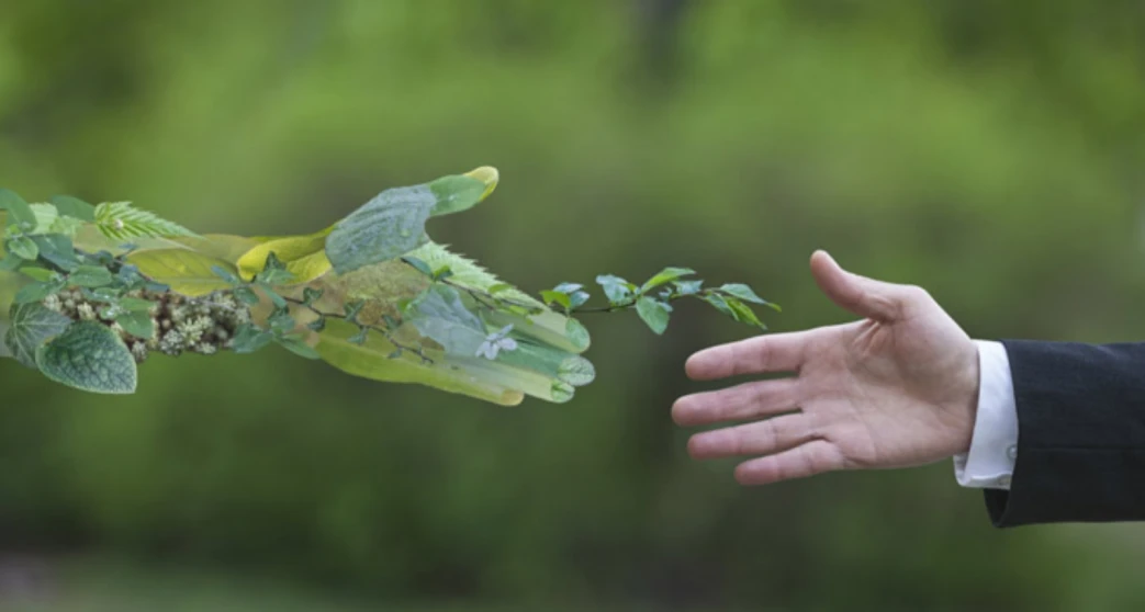 Derecho ambiental España