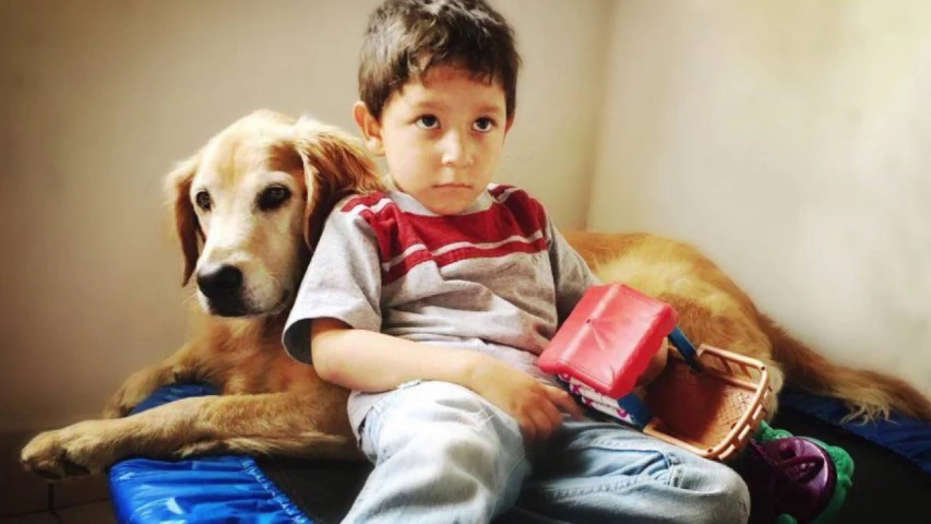 ¿Cómo ayudan los perros a los niños que se encuentran en el espectro autista?