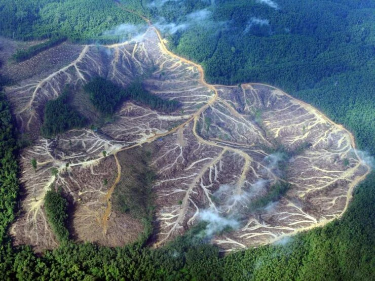 La Deforestación en España