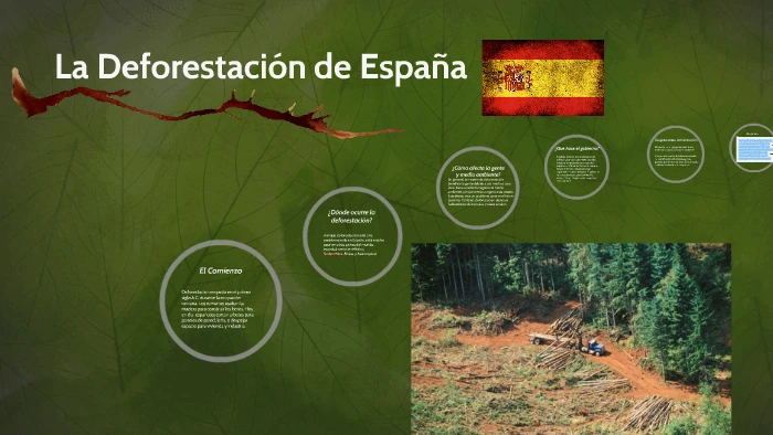 La Deforestación en Madrid