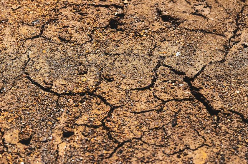 Prevenirse ante un sismo