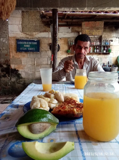 Siembra del Arroz Artesanal en Venezuela