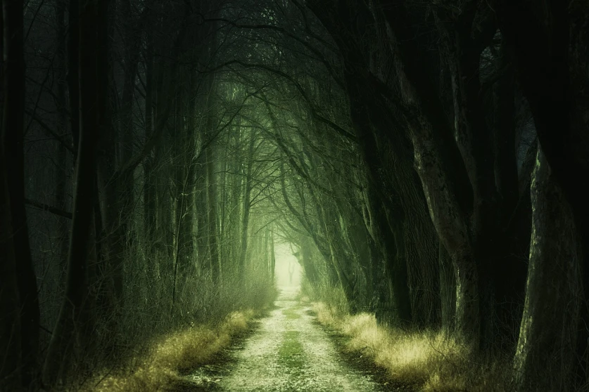 La mente: un túnel a la penumbra.