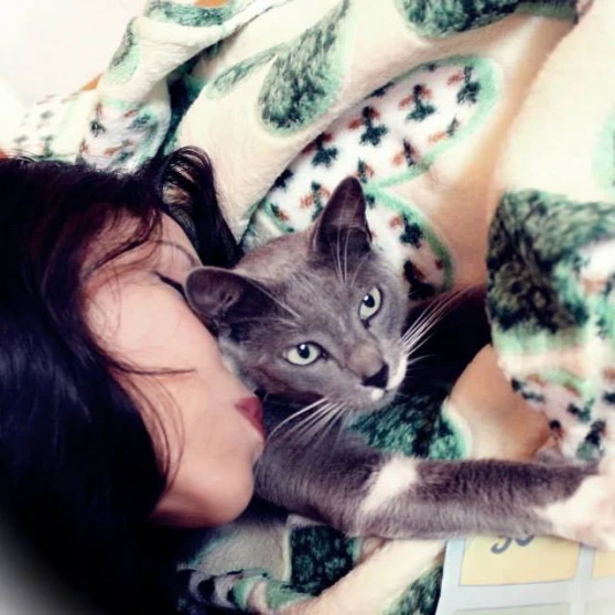 Missifus y Yo Amor gatuno