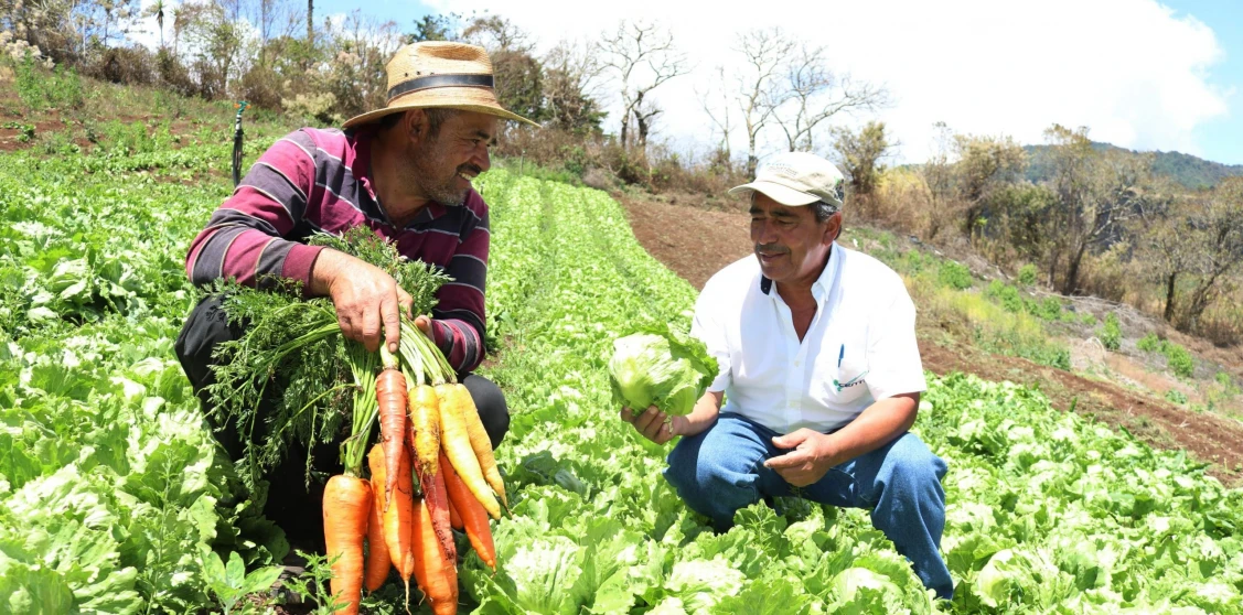 Agricultura en El Salvador 