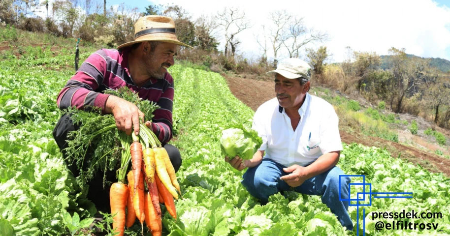Importancia económica de la agricultura en El Salvador