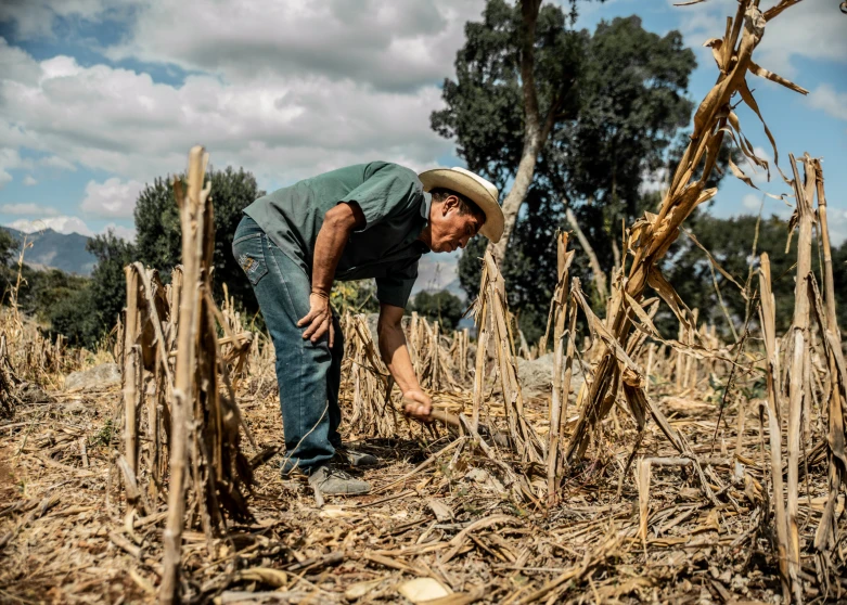 Cambio Climático 