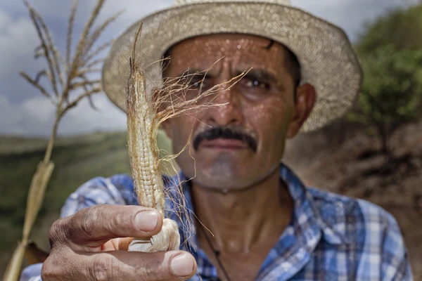 Cambio Climático 