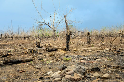 Cambio Climático 