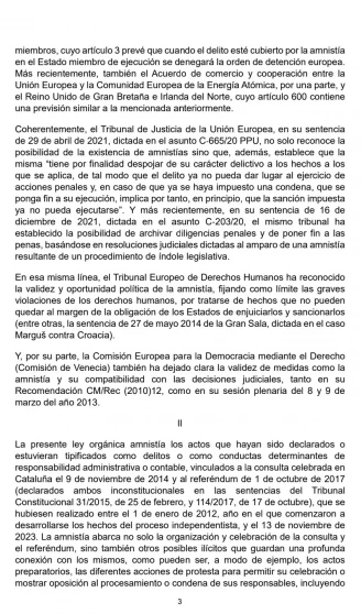 ¿Qué es la amnistía?