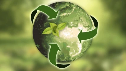 Sostenibilidad: Impacto Ambiental y Soluciones a Adoptar