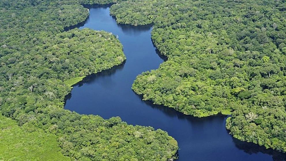 Curiosidades Asombrosas de la Flora y Fauna del Amazonas