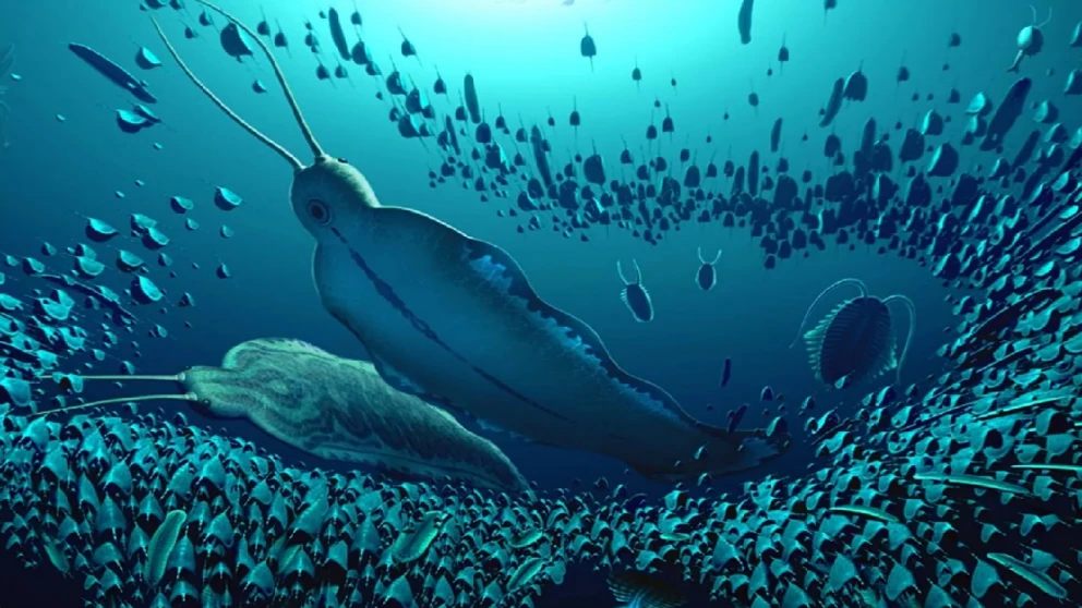Descubrimiento en Groenlandia: Hallazgo del 'Timorebestia', un Gigante Depredador del Cámbrico