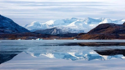 Descubrimiento en Groenlandia: Hallazgo del 'Timorebestia', un Gigante Depredador del Cámbrico