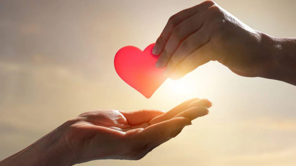 Reflexiones Sabias sobre el Amor: Un Viaje Profundo a través de las Emociones Humanas