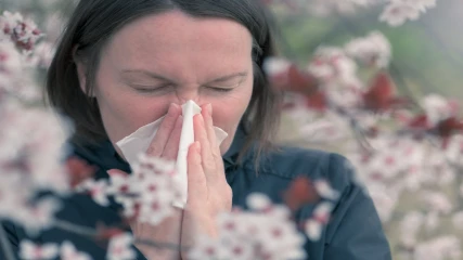 Alergias Estacionales vs Alergias Perennes: Diferencias, Síntomas y Tratamientos