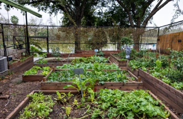 Embracing Sustainability: Effective Techniques for Eco-Friendly Gardening
