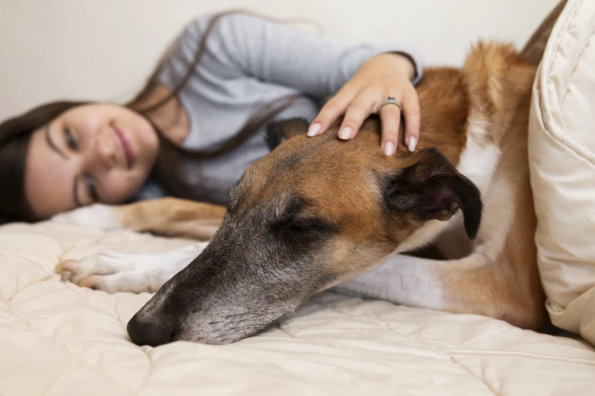 mujer duerme con su perro